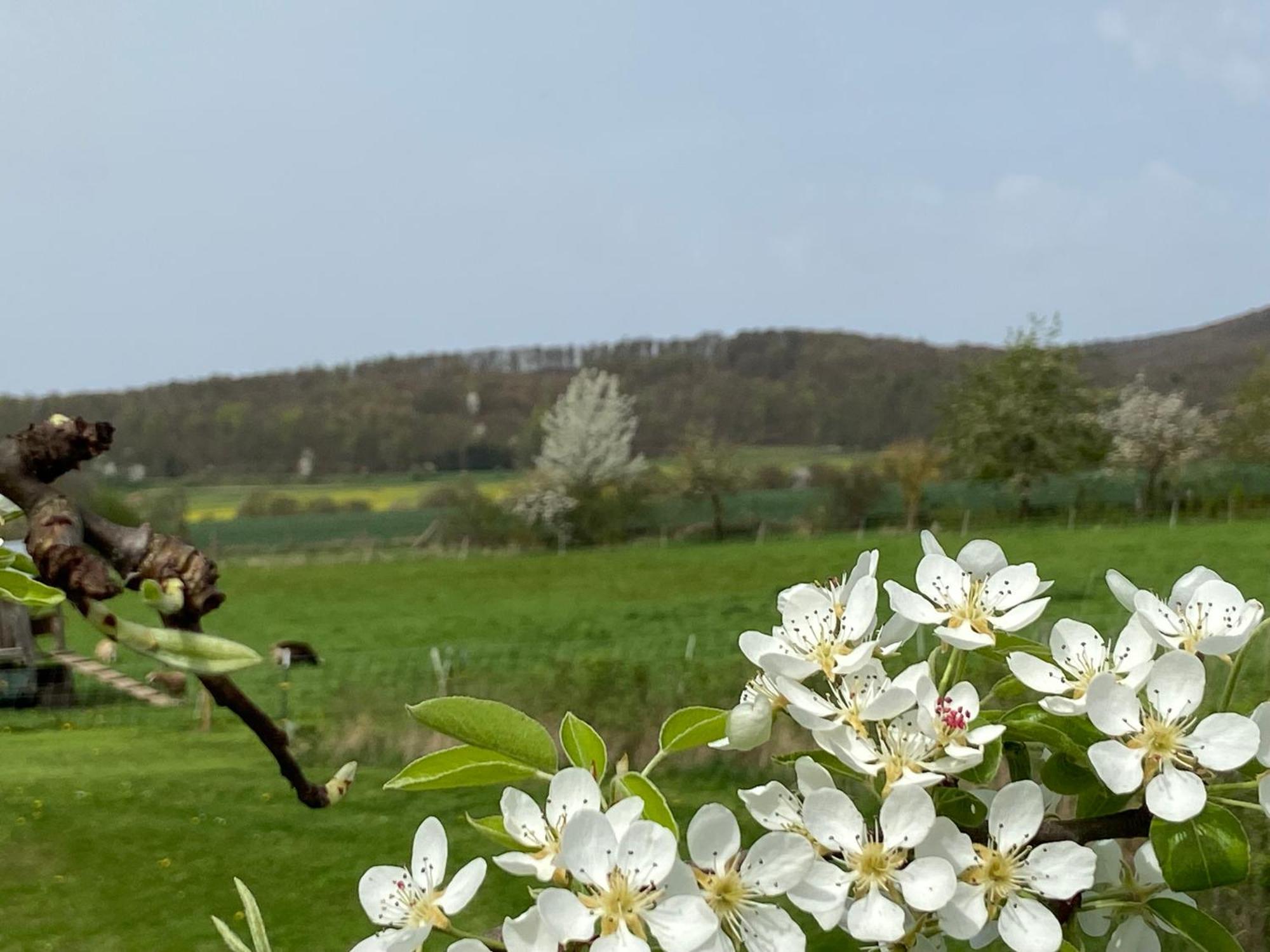 Moserhof Wahlhausen