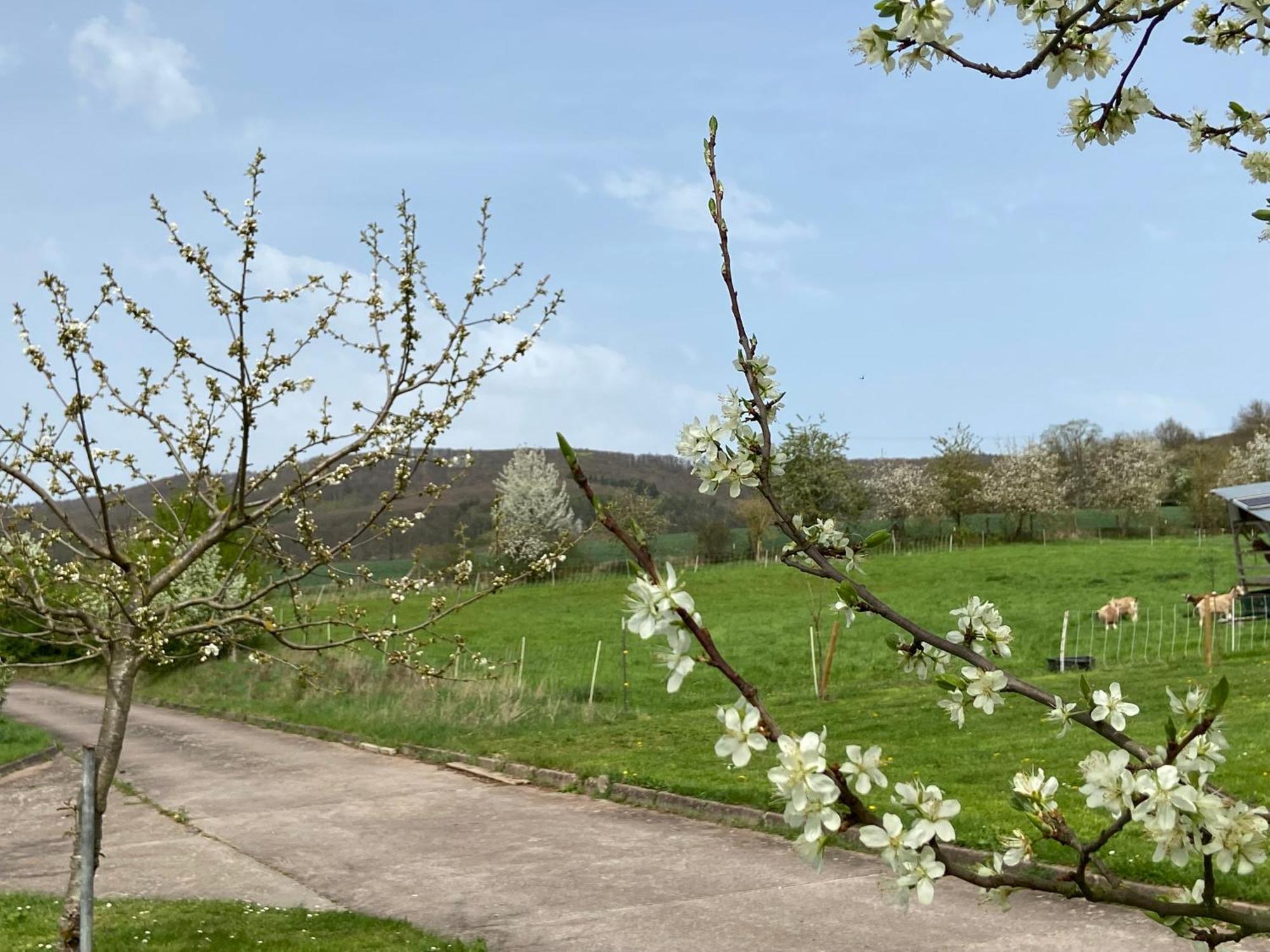 Moserhof Appartamento